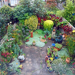 Jeff Clarke at 80 | Exhibition by Elizabeth Harvey-Lee | Photograph looking down on the artist’s back garden