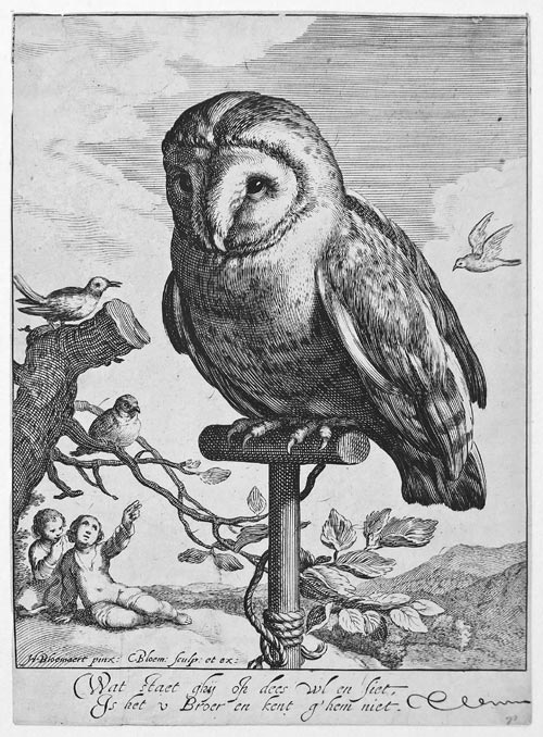 CORNELIS BLOEMAERT, Utrecht 1603 – 1692 Rome. An Owl on a Perch. This original etching with engraving, c1625.