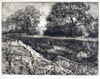 Isabel Codrington, Swimbridge, Devon 1874 – 1943 Minehead, Somerset. Coming Storm. Original etching, c1930.