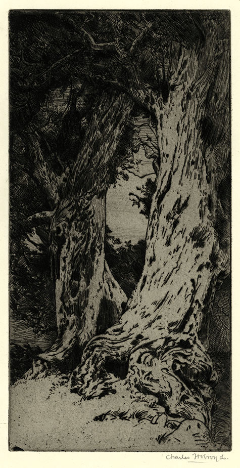 Charles Holroyd, Wordsworths Yews. Original etching, 1908. 
