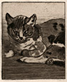 THEOPHILE ALEXANDRE STEINLEN, Lausanne 1859 – 1923 Paris. Petit Chat. Original etching, 1898. 